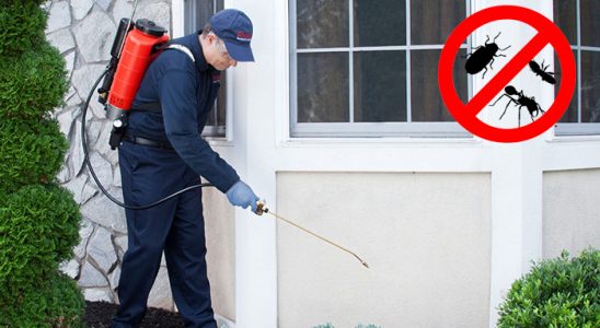 Gümüşhacıköy Akrep İlaçlama böcek ilaçlama ve haşere kontrolü — ilaclama-tr.com